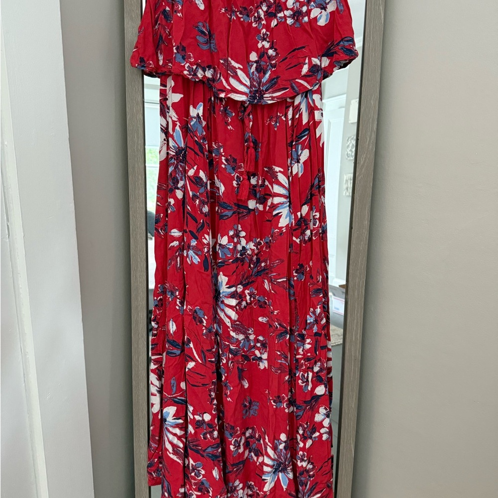 Japna Red and Blue Floral Dress